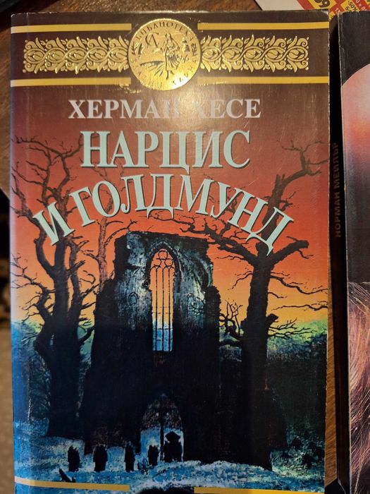 Книга, Херман Хесе 'Нарцис и Голдмунд'
