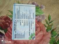 Xitoy avtomobili hafie