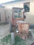 Uzm kafolat beraman.Hamma joying yaxshi