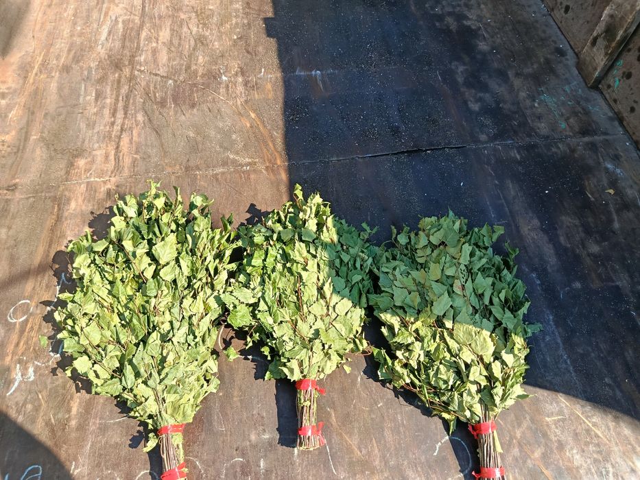 Банные веники березы и пихты