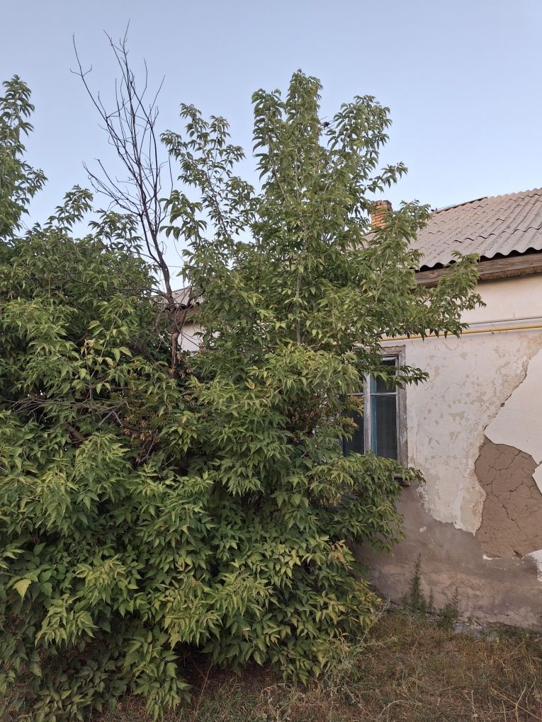 Продам дом кароие