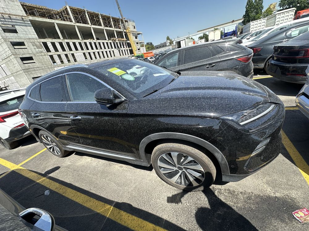 Byd chempion 605 flagship