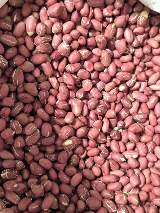 Български фъстъци