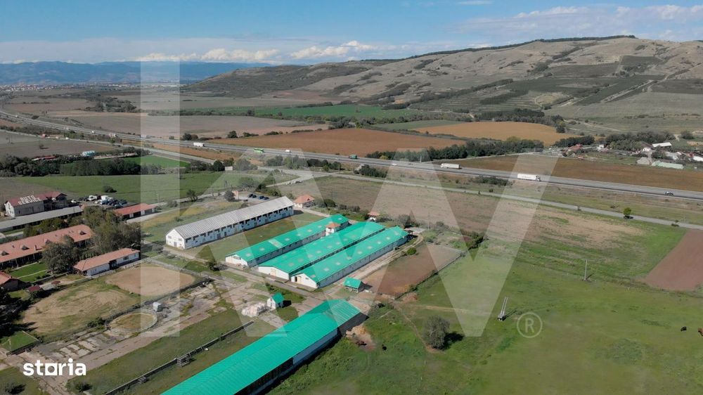 Hala industriala | productie | depozitare | cantina | 826mp | Sebes