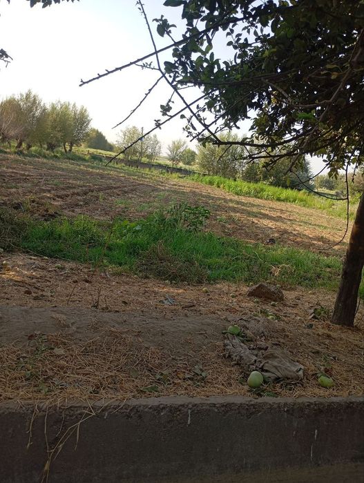 Buka tumanida chorva uchun nunjanlangan uy sotiladi 90 sotix