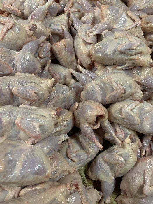 Перепелка, свежий забой, несушки