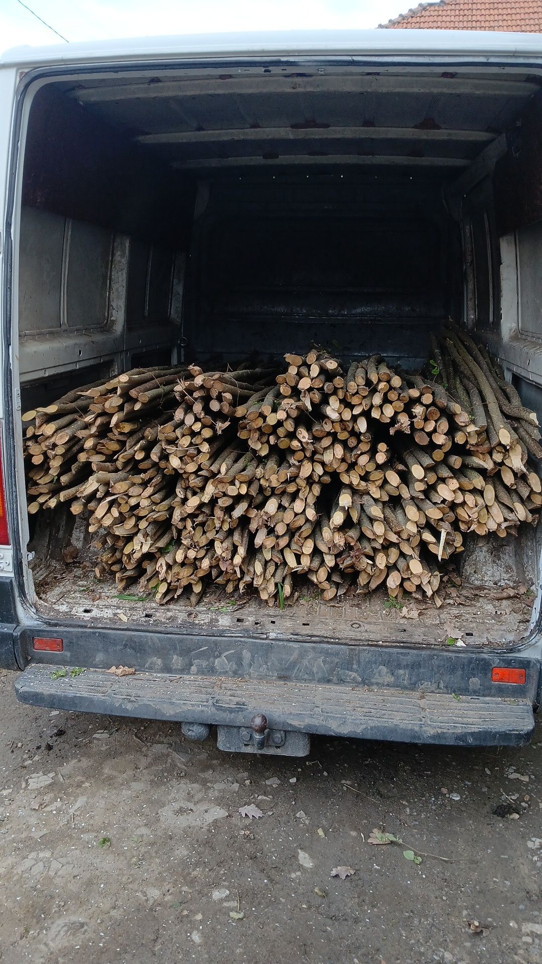 Vând pari de fasole și roși