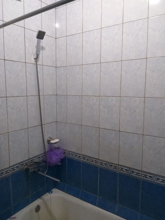 Зарарли одатларсиз угил Боллани ижарага куяман бирга туришга.