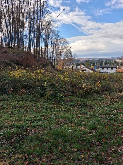 Teren intravilan 409 mp + 5000 mp pădure la intrare în Curtea de Argeș