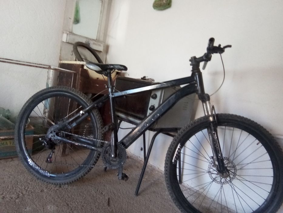 Велик норм. Ленгер