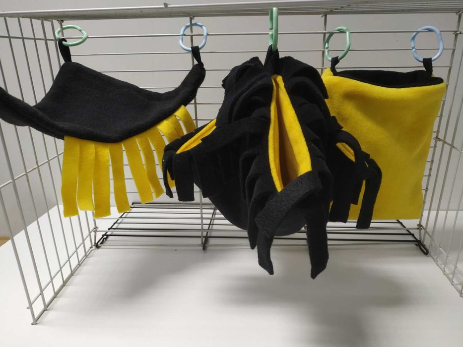 захарна катеричка, торбеста летяша катерица