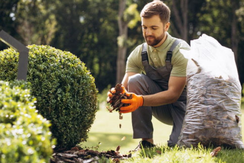 Ajutor  Servici Diverse Curatenie Birourii  Mutari Tuns Iarba -