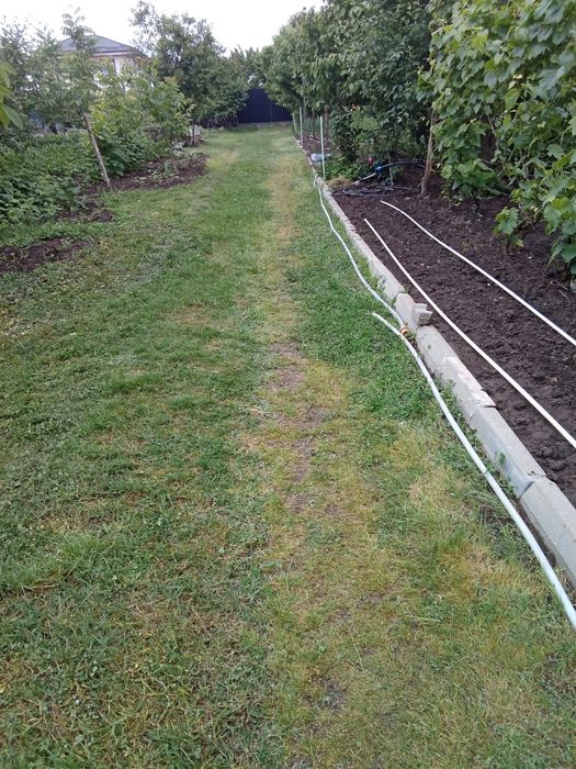 Teren Bragadiru Buda