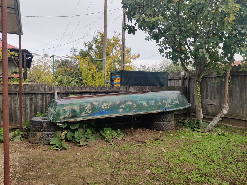 Barcă fibră (opțional motor Evinrude 4 cp)