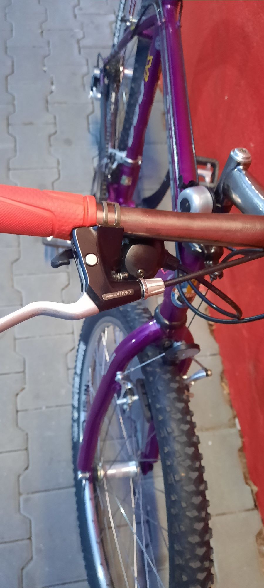 Bicicletă Bottecchia