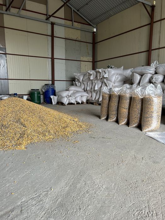 Cereale ( porumb , grau , orz , floare , amestec, mazare )