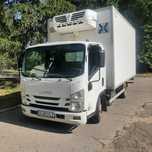 Isuzu frigorific