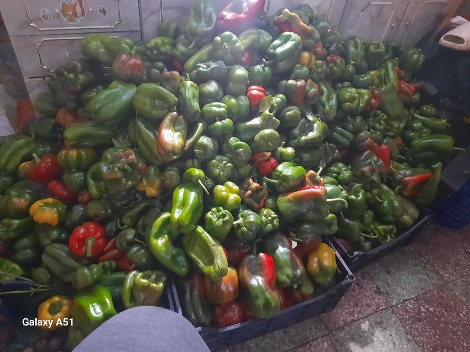 Gogosar verde și ardei de vinzare