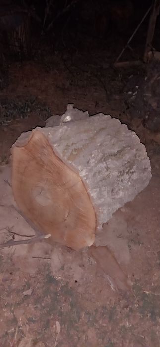 Кесилген жангак тал