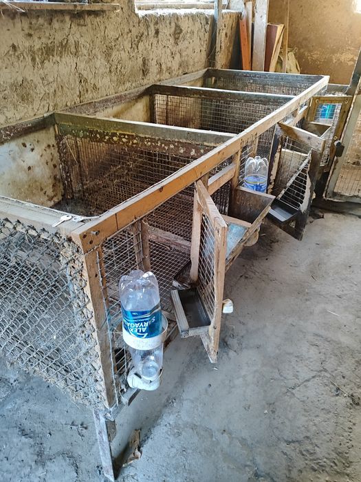 Клетки для содержания кроликов.