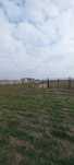 Teren Dumitrana Magurele A0 Loturi 700/500m 1200mp