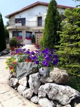 Meseriasi , constructori , interior-exterior  , oferim garanție  !