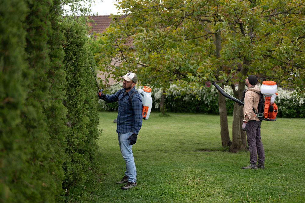 greenscape - peisagistica, gradinarit, intretinere spatii verzi