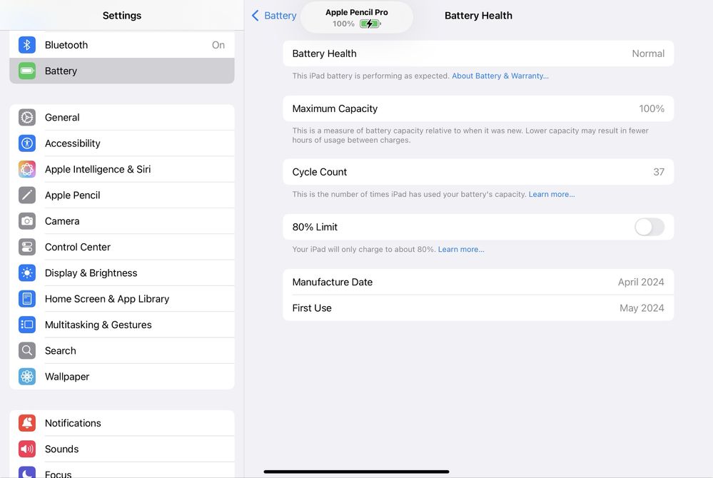 iPad Pro 11 M4 256GB