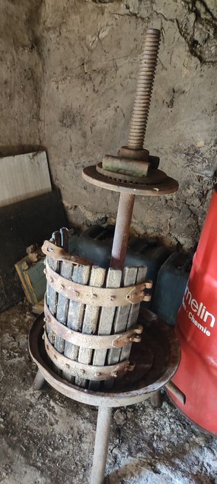 sitau teasc presa struguri