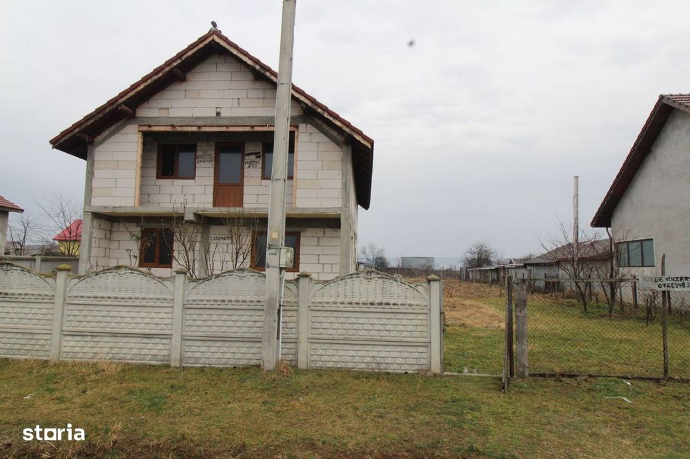 Casă P + 1 Câmpu Mare, Albeni