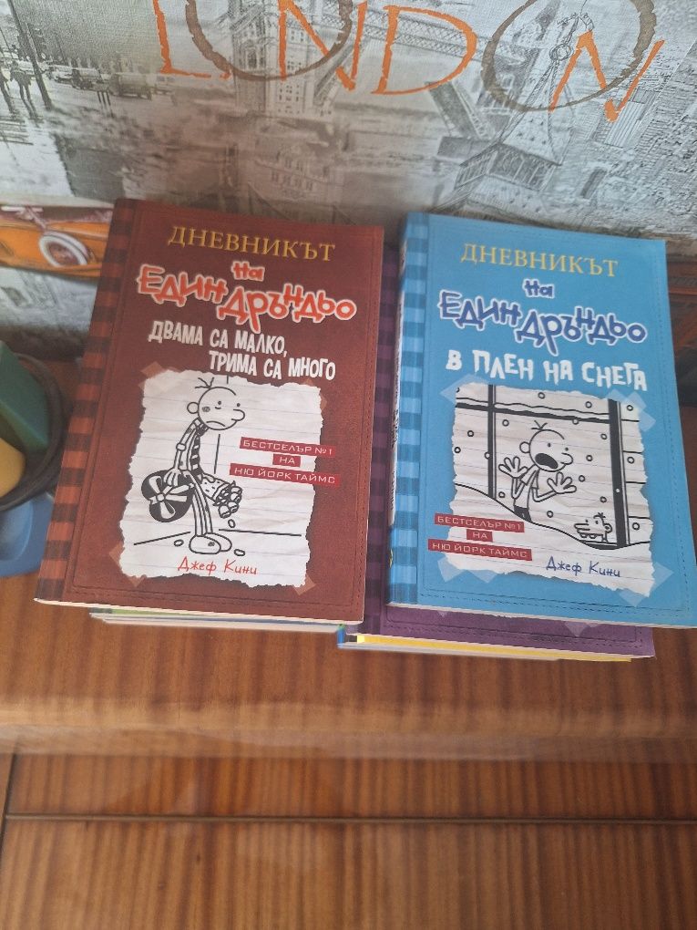 Дневника на един дръндьо