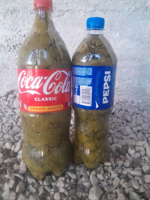 Tuzlangan Tok barglari sotiladi