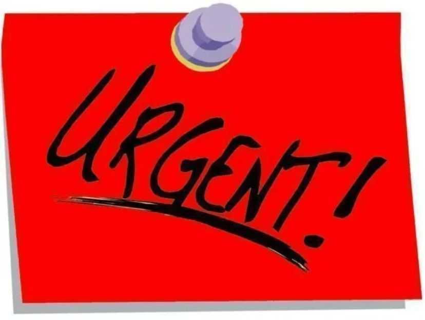 Organizator haine si pantofi  rezistent la praf, rucsac simplu panza