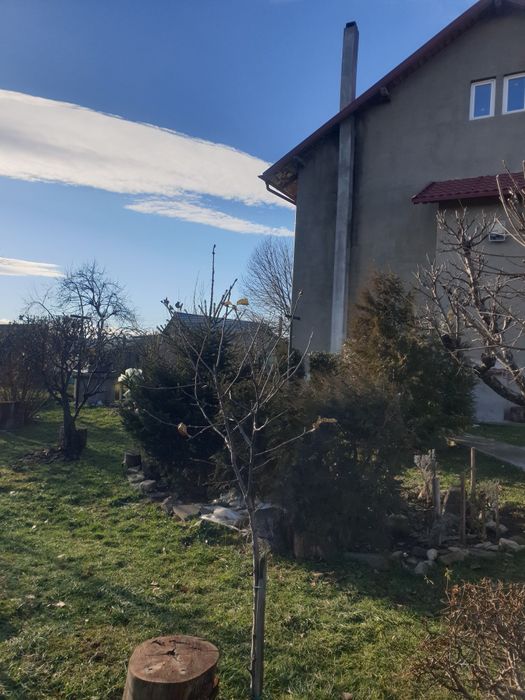 Vind casa Cornu Luncii