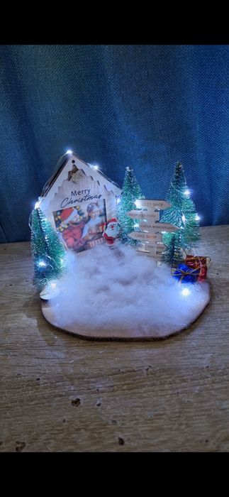 Ornamente/decoratiuni de Craciun