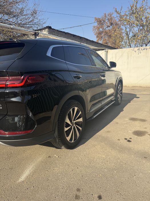 Byd chenpiyon giprit 110 tali 2024 yil