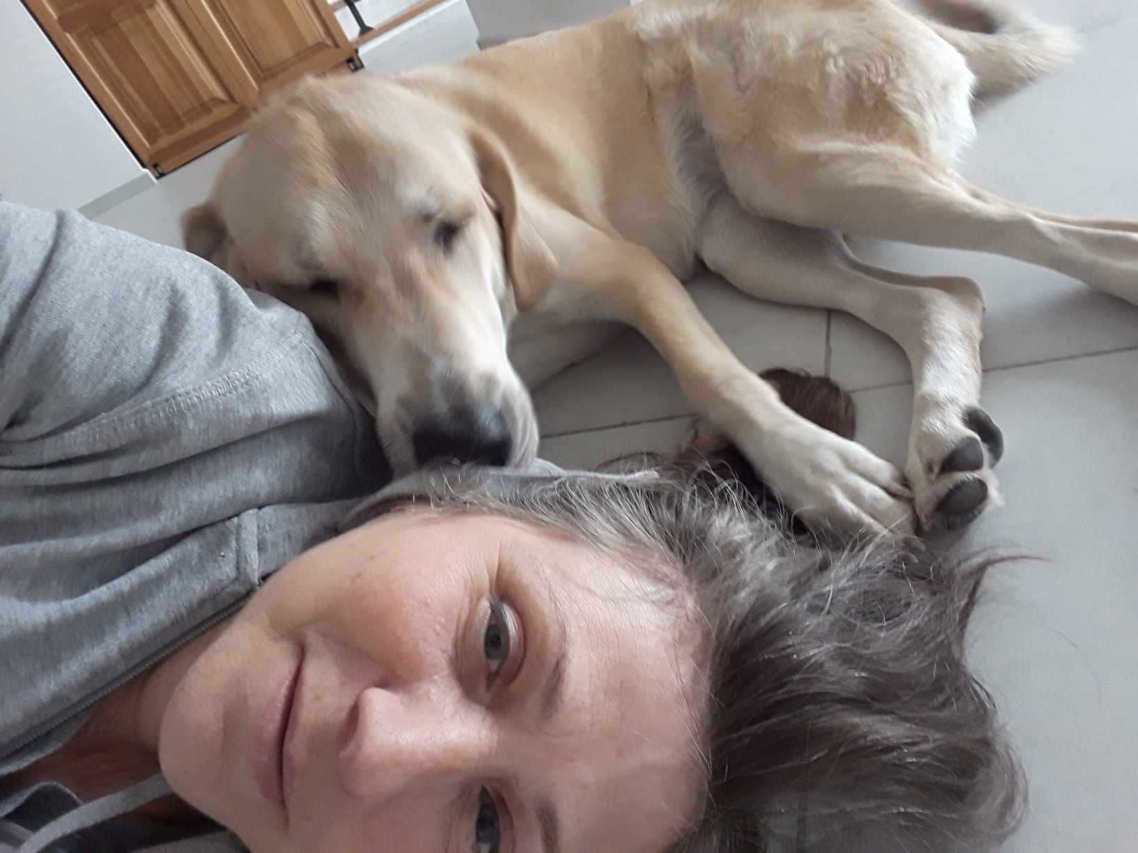 Кучето Грейси търси постоянен дом и стопани / Gracie looking for home