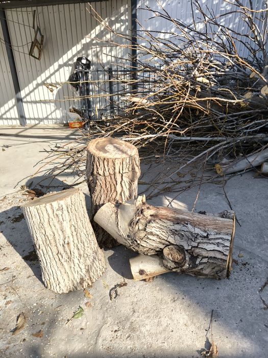 Ветки, ствол, орех на дрова