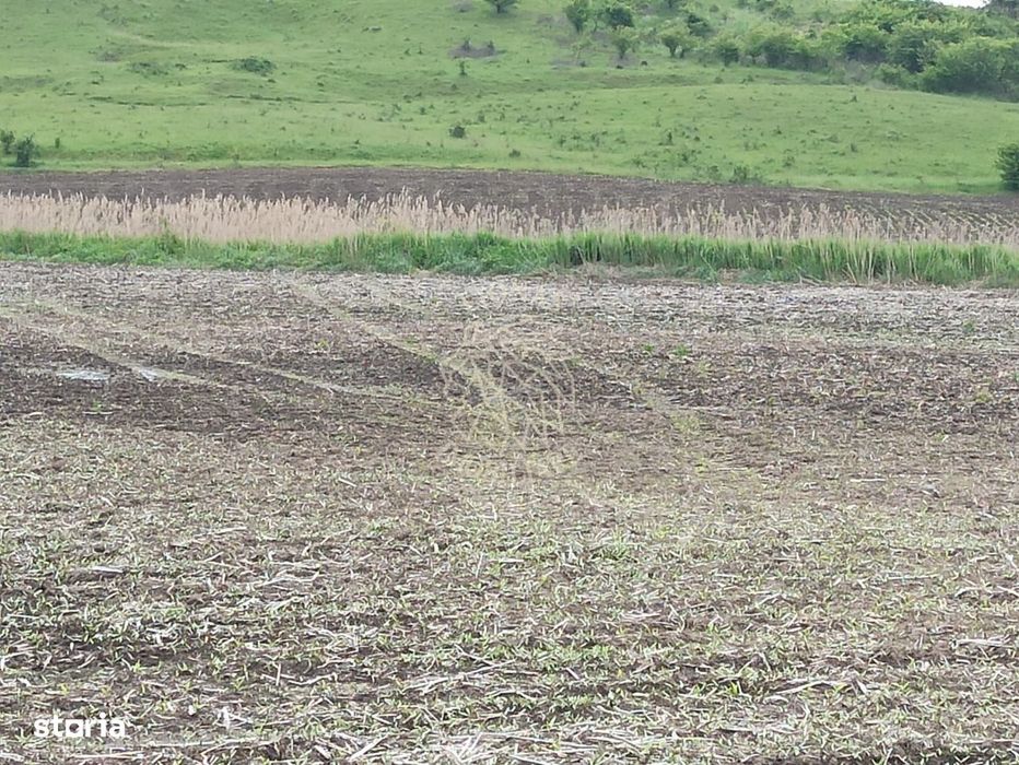 Teren intravilan 1000 mp cu utilitati-ideal casa P+2E-Sarata