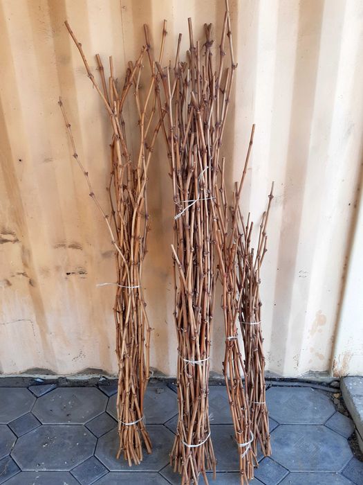 Черенки (чубуки) винограда