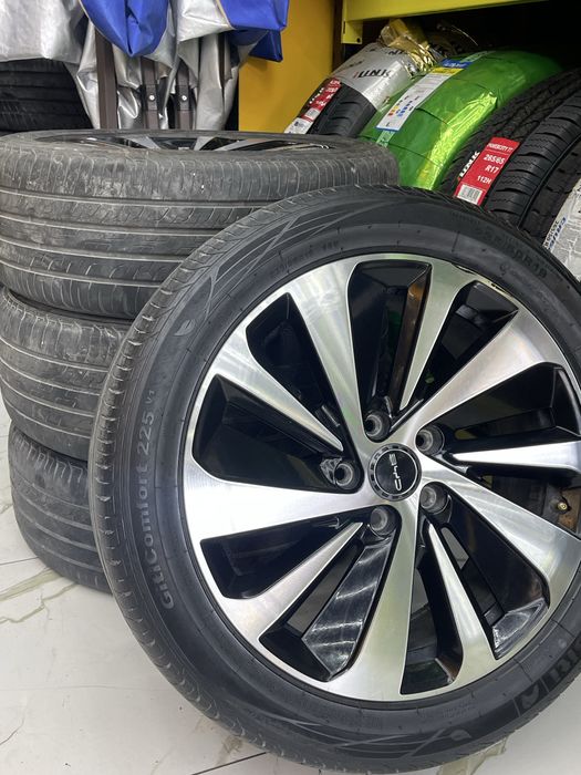 Diska balon byd chempion radnoy