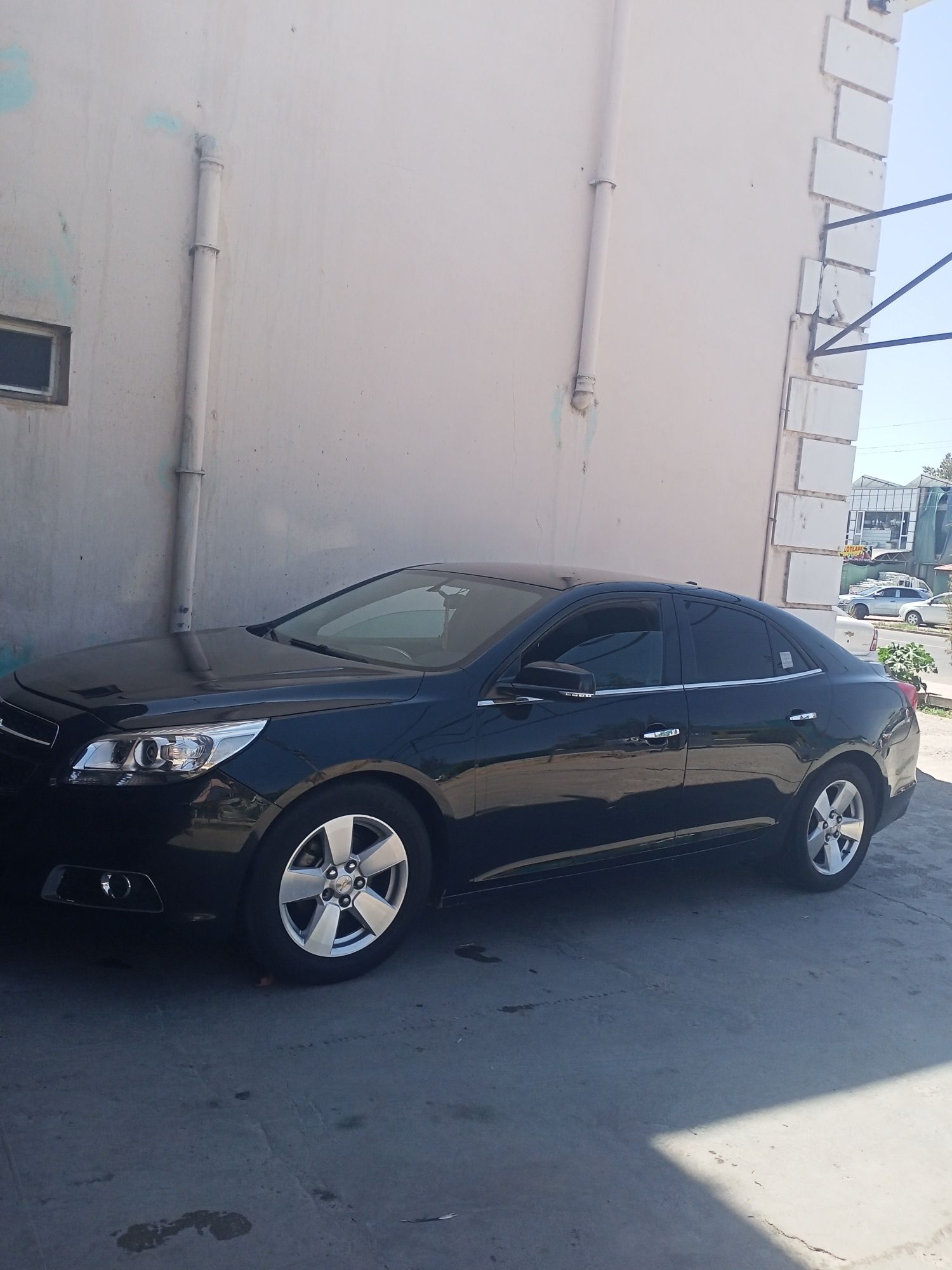 Malibu 1pozitsya  aloq nomerlariga aloqa chiqila gaplashamz