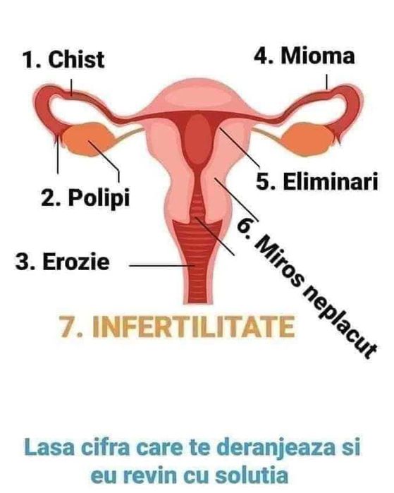 Gel Bactericid    Set Ginecologic   Green World