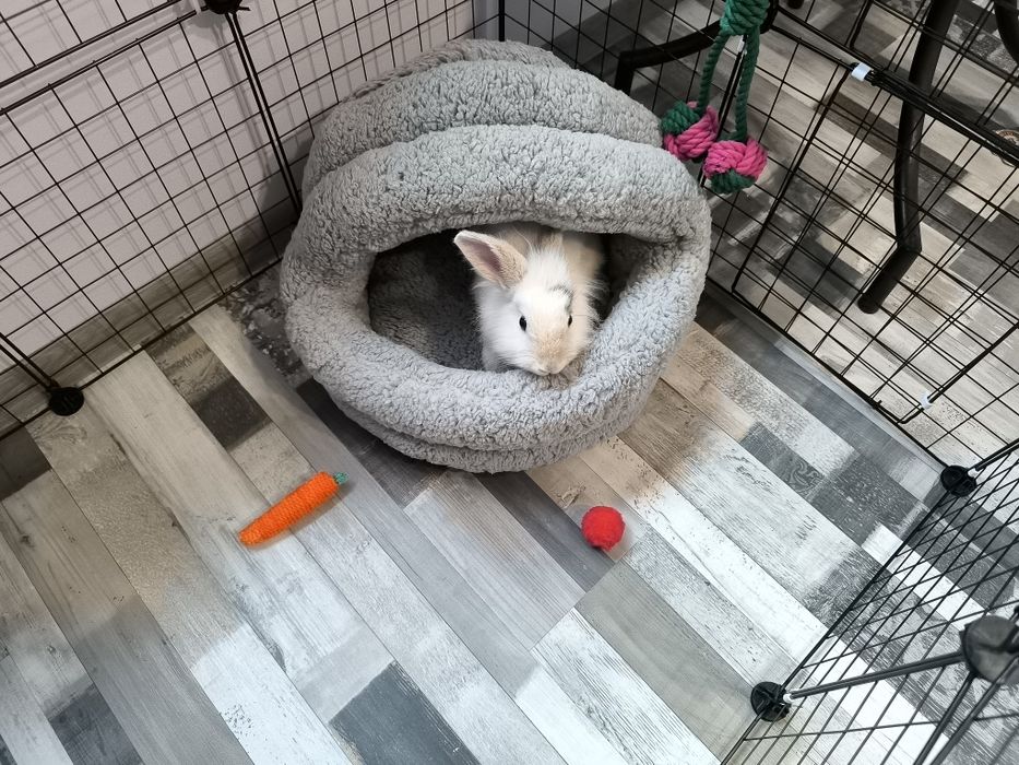 Легло за домашни любимци "Пинпон".