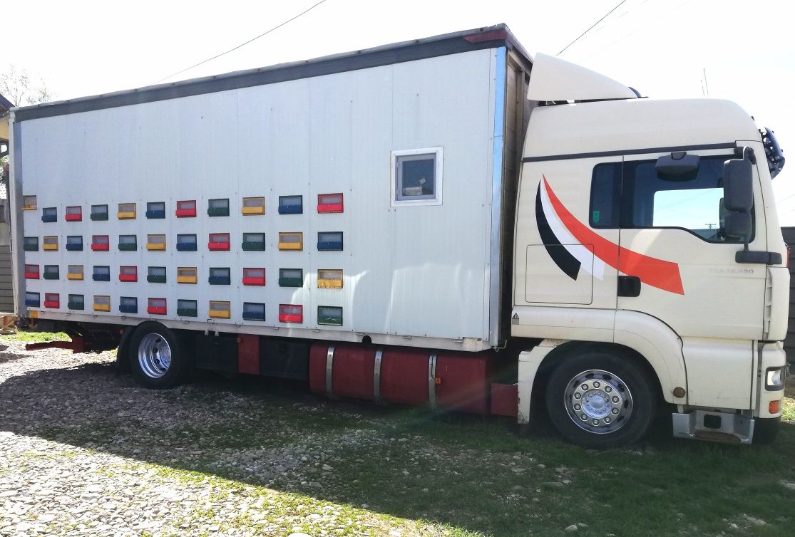 Camion apicol MAN TGA 18.430 cu 90 familii albine complet echipat