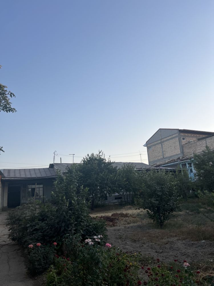 Uchaska Sotiladi Kelishtrib beramz