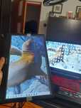 Monitor 7" cu touchscreen, 8" , 10" PC, laptop, DVR, Rasberry Pi, etc.