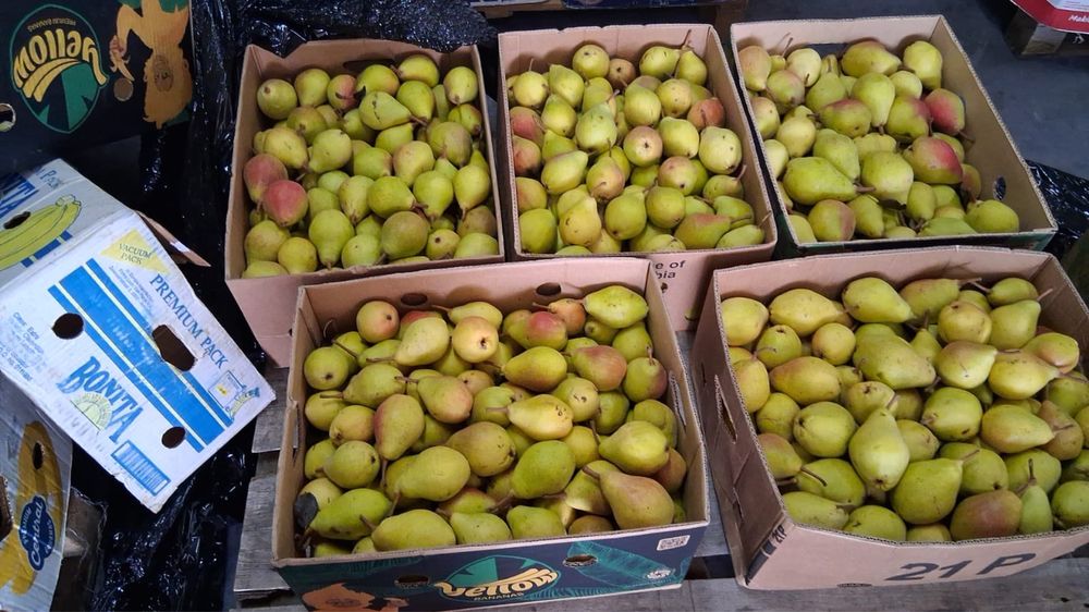 Prune de vanzare pentru tuica dulci si pere