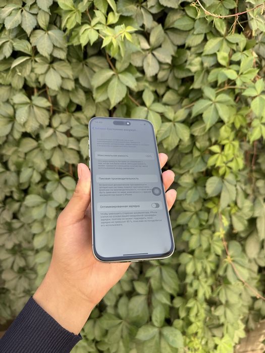 iPhone 16 Pro Max Ideal