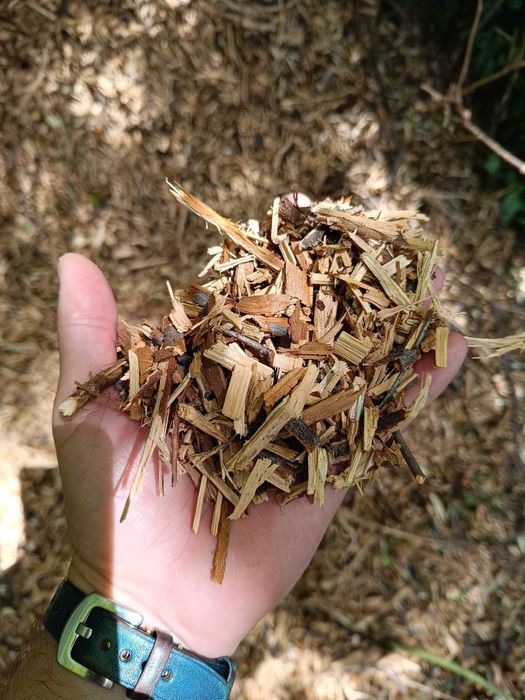 Vând biomasă forestieră (rumeguș)